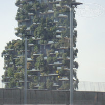 фото из отзыва ID 1916651