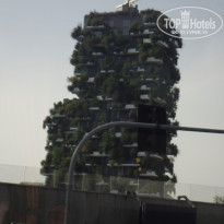 фото из отзыва ID 1916651