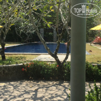 фото из отзыва ID 1916750