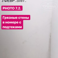 фото из отзыва ID 1916713