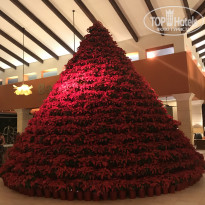 фото из отзыва ID 1916892