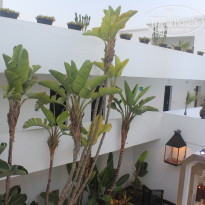 фото из отзыва ID 1916915