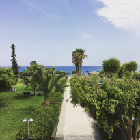 фото из отзыва ID 1916940