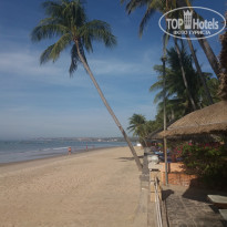 фото из отзыва ID 1916952