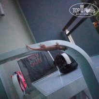 фото из отзыва ID 1916834