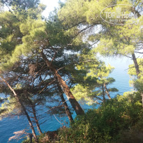 фото из отзыва ID 1917062