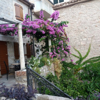 фото из отзыва ID 1917062