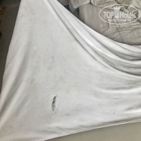 фото из отзыва ID 1917079