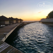 фото из отзыва ID 1917118