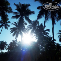 фото из отзыва ID 1917120