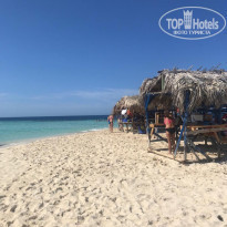 фото из отзыва ID 1917138