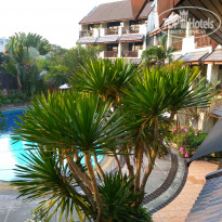 фото из отзыва ID 1917247