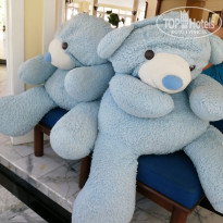 фото из отзыва ID 1917321