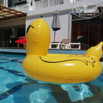 фото из отзыва ID 1917321