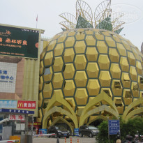 фото из отзыва ID 1917375