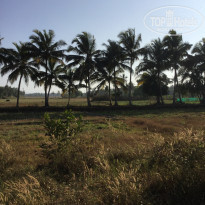 фото из отзыва ID 1917363