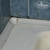 фото из отзыва ID 1917013