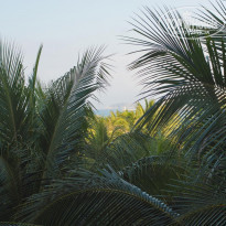 фото из отзыва ID 1917434