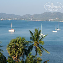 фото из отзыва ID 1917476