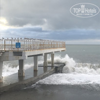 фото из отзыва ID 1917491