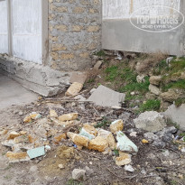 фото из отзыва ID 1917510