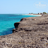 фото из отзыва ID 1917551