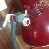 фото из отзыва ID 1917606