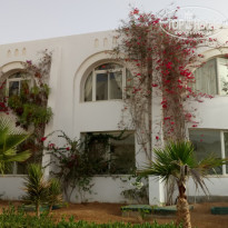 фото из отзыва ID 1917583