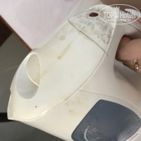 фото из отзыва ID 1917606