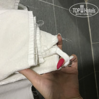 фото из отзыва ID 1917606