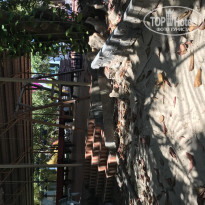 фото из отзыва ID 1917606