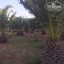 фото из отзыва ID 1917743