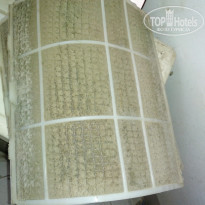 фото из отзыва ID 1917852