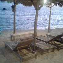 фото из отзыва ID 1917973