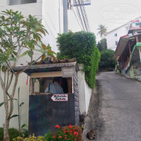 фото из отзыва ID 1916834