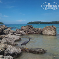 фото из отзыва ID 1916834