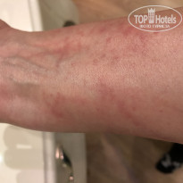 фото из отзыва ID 1918025