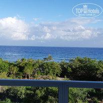 фото из отзыва ID 1918074