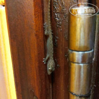 фото из отзыва ID 1918277