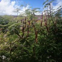 фото из отзыва ID 1918341