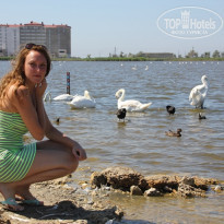 фото из отзыва ID 1918308