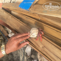 фото из отзыва ID 1918365