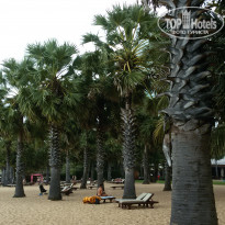 фото из отзыва ID 1918419