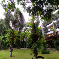 фото из отзыва ID 1918510