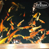 фото из отзыва ID 1918510