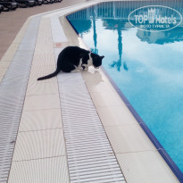 фото из отзыва ID 1918439