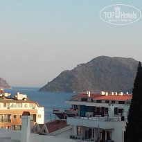 фото из отзыва ID 1918590