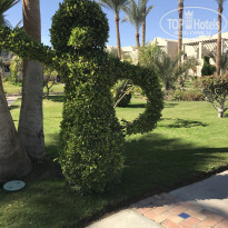 фото из отзыва ID 1918839