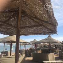 фото из отзыва ID 1918839