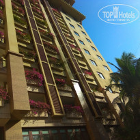 фото из отзыва ID 1918421